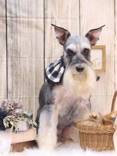 20241014銀次くん